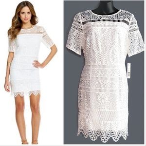 FINAL👎NWT Gianni Bini Little White Dress Sz 10